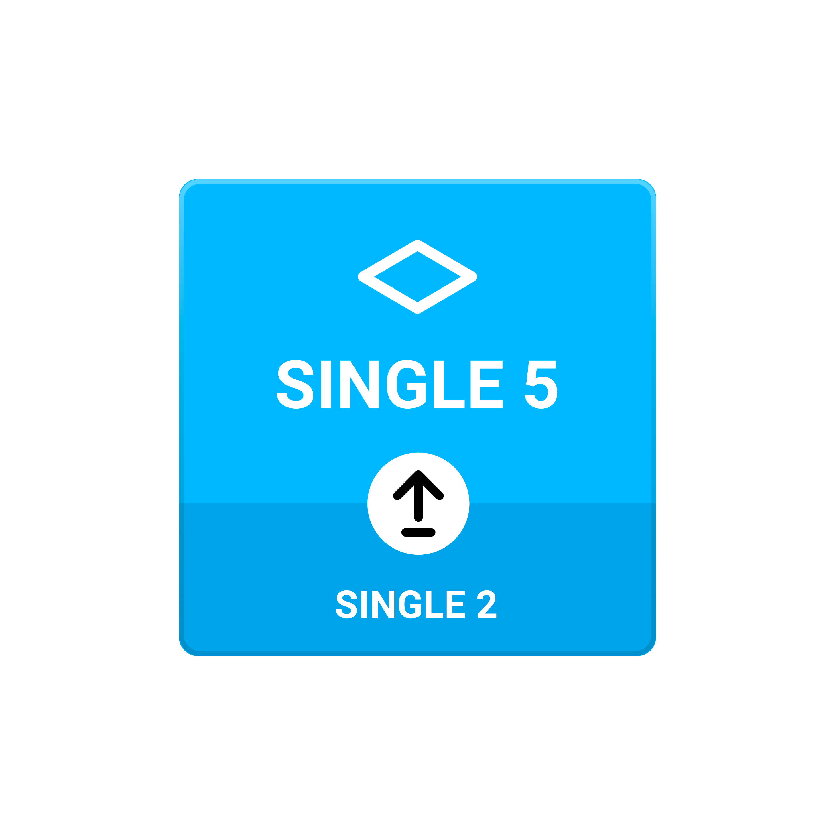 License Upgrade | SINGLE 2 => SINGLE 5